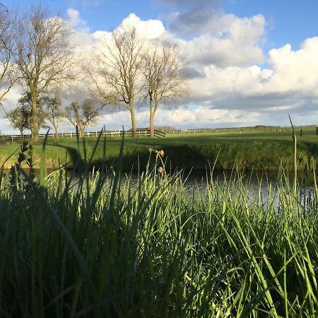 T Slot Opperdoes 64 Bed & Breakfast Eksteriør bilde
